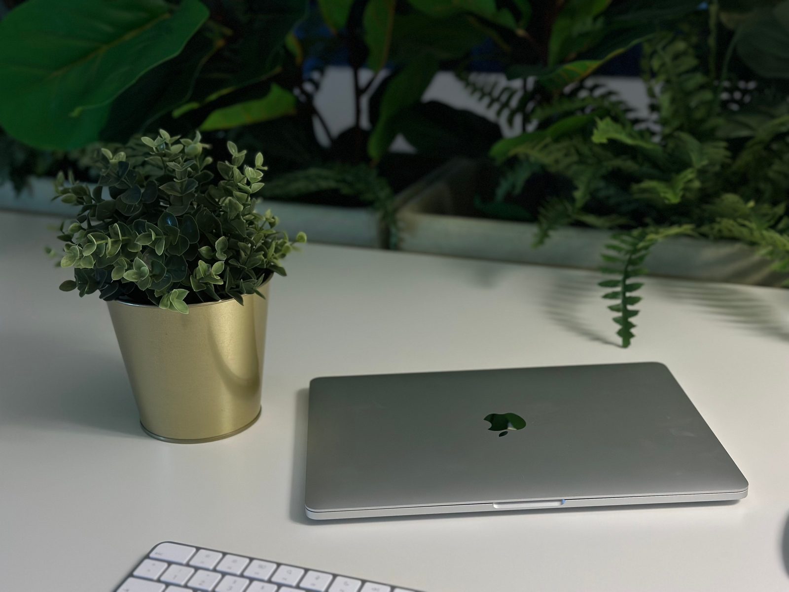 Secretária com um portátil fechado, teclado sem fios e uma planta, num escritório rodeado de vegetação